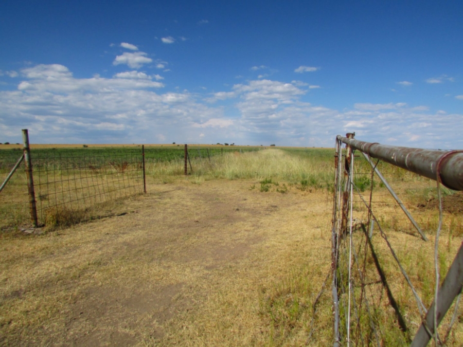 Commercial Property for Sale in Koppies Rural Free State